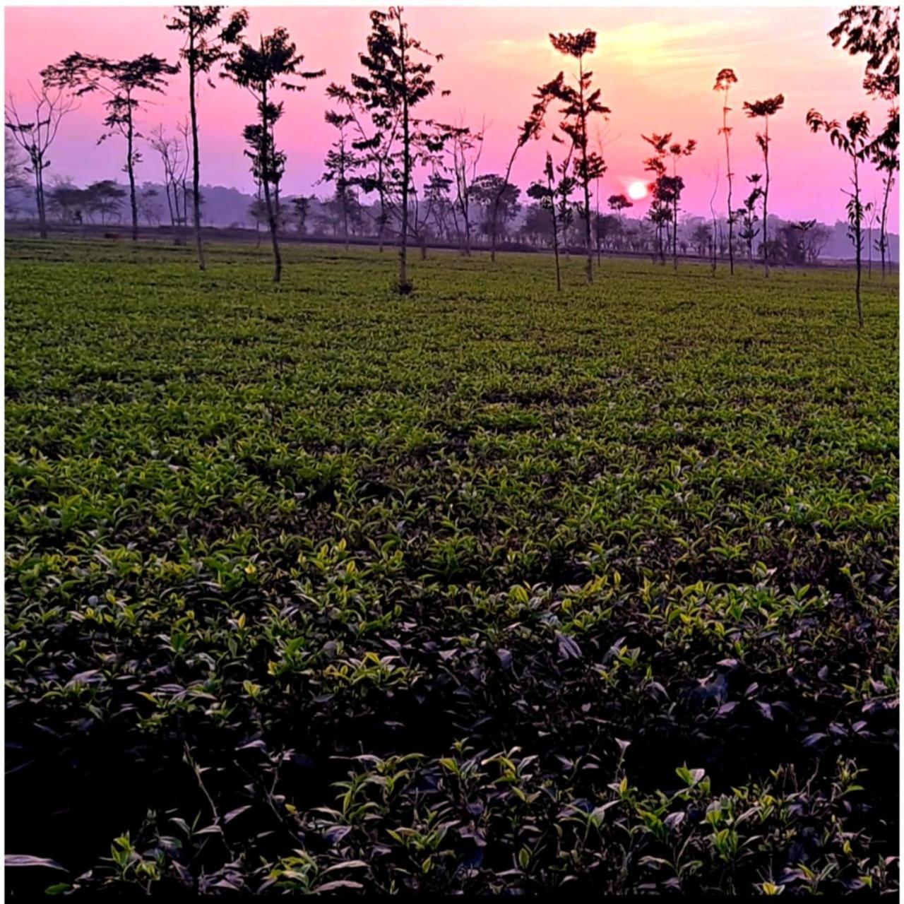 Krishna Farms And Village Resort Siliguri Exterior photo